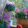 burtont_46834