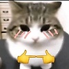 junjuna_35038