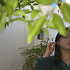ranim_36860