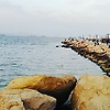 berk_77012