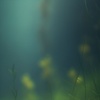 kenan_61975
