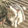 rym_68563