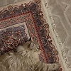 esraa_37186