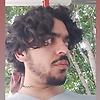 h81033