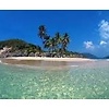 Danlam-05