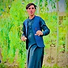 sadam_17004