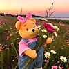 aisha_96742
