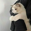 itsmetyy