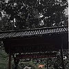 shita_93069