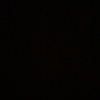 nelly_23508