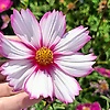 wanwan_2212