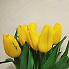 anna_64629