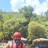 dino_70747