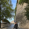arlin_95031
