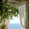 jana_93607