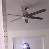 eva_83095