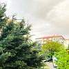 hasan_68535