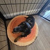 Lina.w515