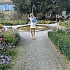 rose_57434