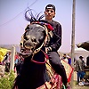 adam_49537