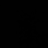 shah_23746