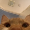 buster_shrugs