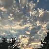 gamzelikzz_59932