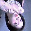 rabbit_007