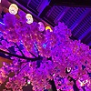 emma_68906