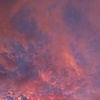 laurencija_80882