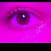 LunaShinee.12