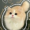 lin_26530