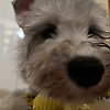 xiaoting_75186