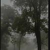 inci_15334