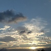 sion_87006