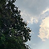 nitika_21