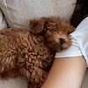 Ann_yyy