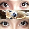 liliefawn_