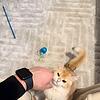 jjjj_24953
