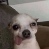 Juliejk