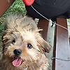 aliana_94218