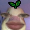zayzayna