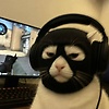 tim_52786