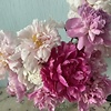 user_22685
