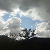 eira_82882