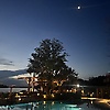 steve_52477