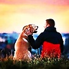 amine_12328