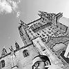 zoco_26262