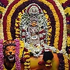 tanu_39763