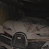 patron_71907